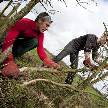 Practice with Maas hedge braiding