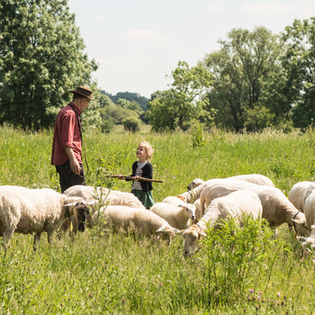 Lake chair: out and about with the shepherd