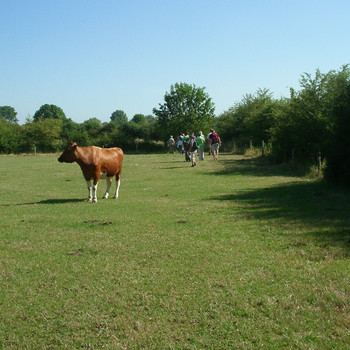 IVN: walking across the Oeffelter Meent