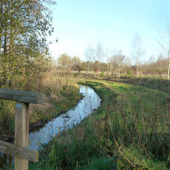 IVN walk along the Maasheggen