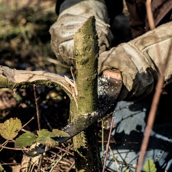 Maas hedge braiding workshop 